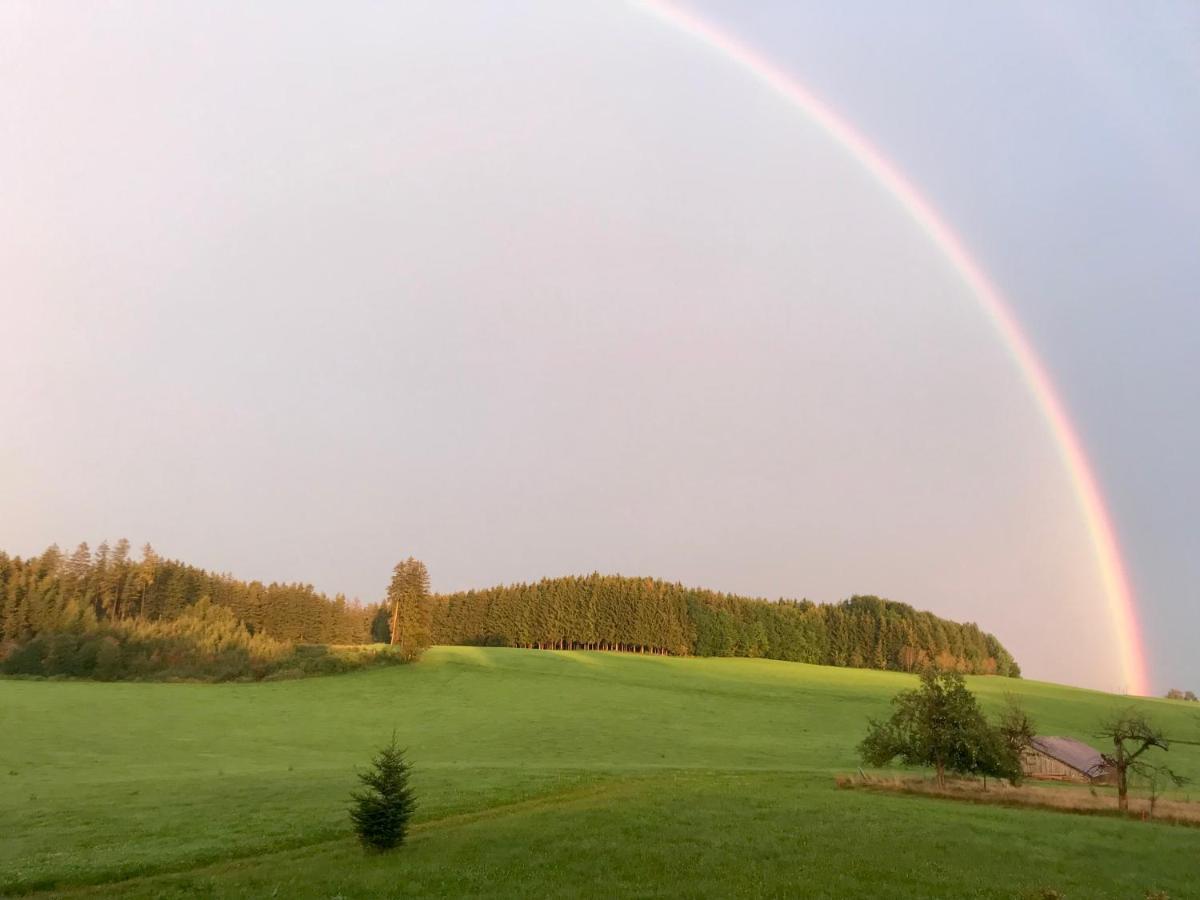 Bauer Haug Dietmannsried