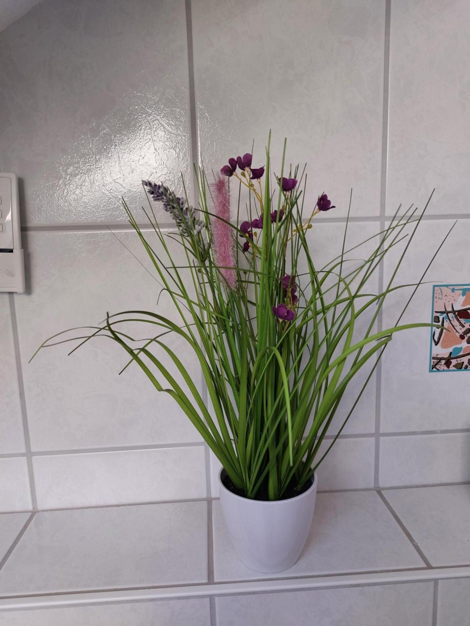 Bauer Haug Apartment *